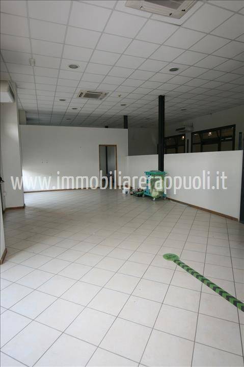 negozio in vendita a Torrita di Siena