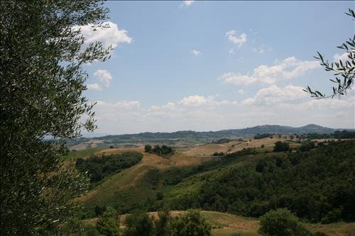 locale di sgombero in vendita a Torrita di Siena in zona Montefollonico