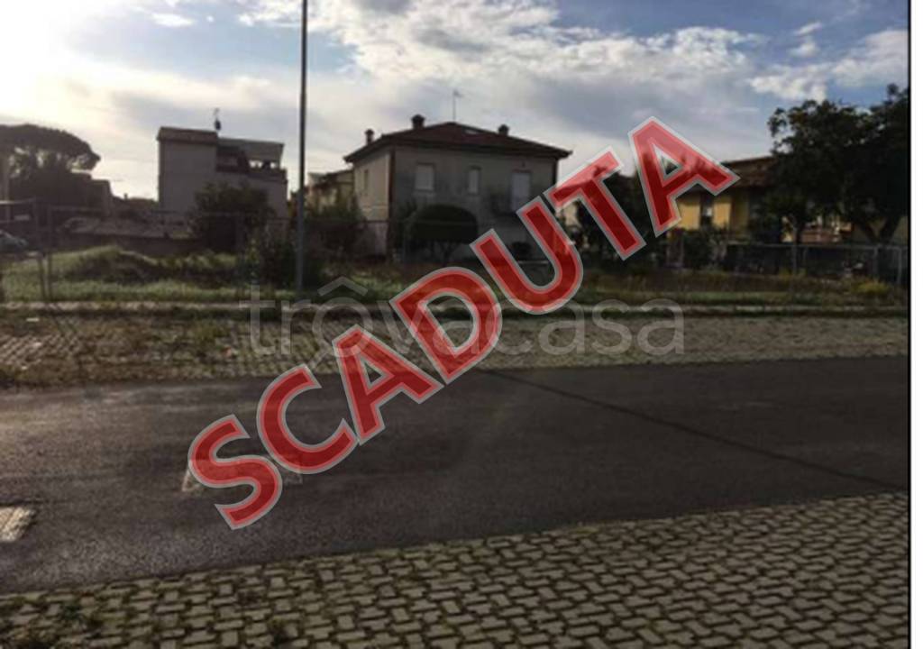 terreno agricolo in vendita a Torrita di Siena