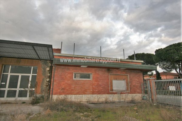 capannone in vendita a Torrita di Siena