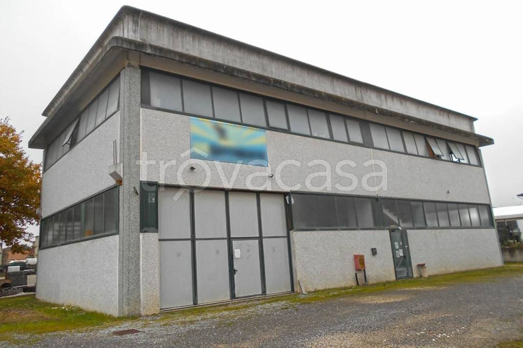 negozio in vendita a Torrita di Siena