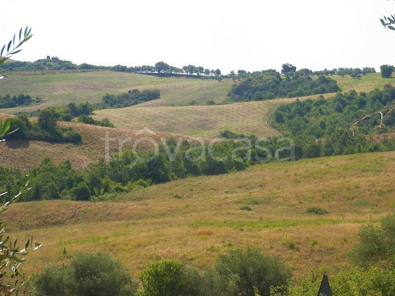negozio in vendita a Torrita di Siena