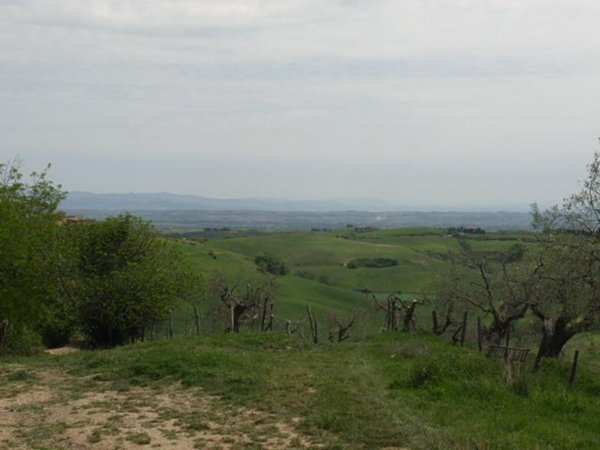 casa indipendente in vendita a Torrita di Siena