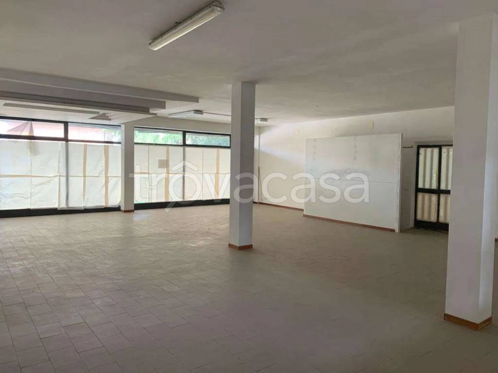 negozio in vendita a Torrita di Siena