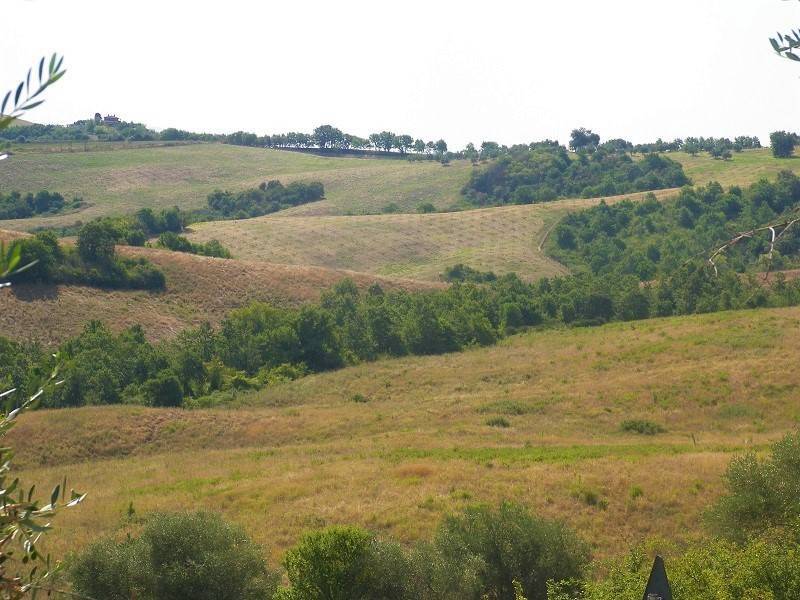 terreno agricolo in vendita a Torrita di Siena
