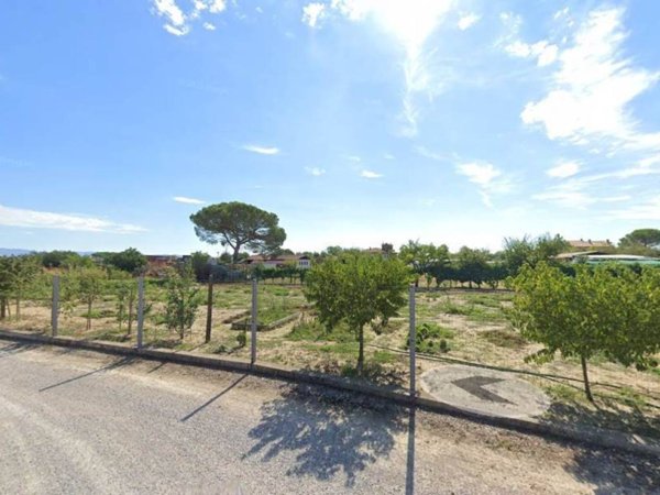terreno agricolo in vendita a Torrita di Siena