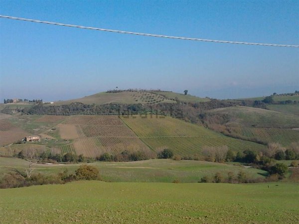 terreno in vendita a Torrita di Siena