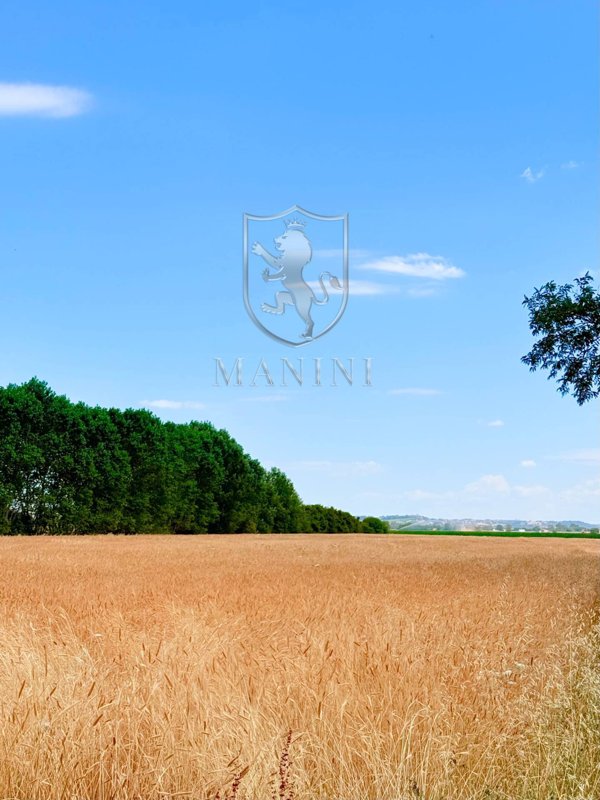 terreno in vendita a Torrita di Siena in zona Montefollonico