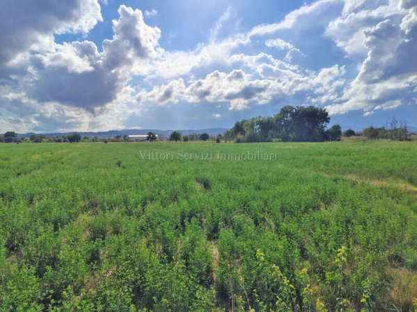 locale di sgombero in vendita a Torrita di Siena
