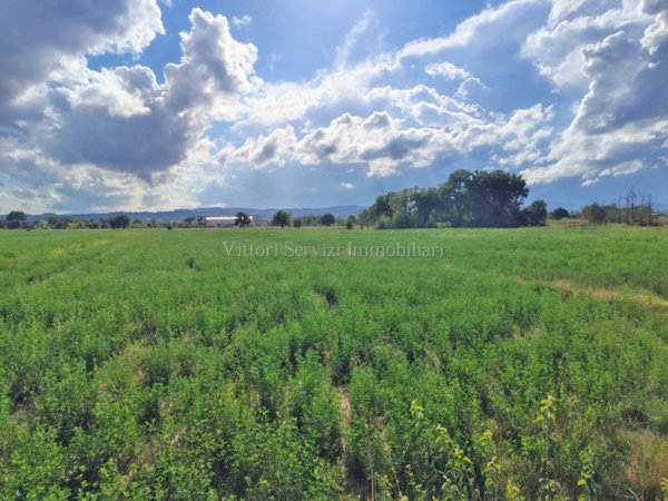 locale di sgombero in vendita a Torrita di Siena in zona Montefollonico