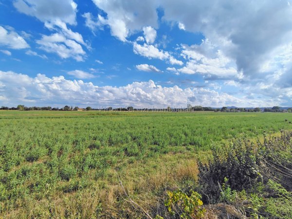 locale di sgombero in vendita a Torrita di Siena in zona Montefollonico