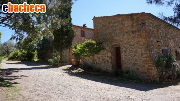 casa indipendente in vendita a Trequanda