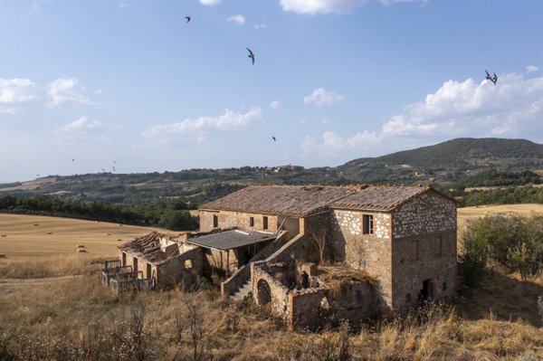 casa indipendente in vendita a Trequanda