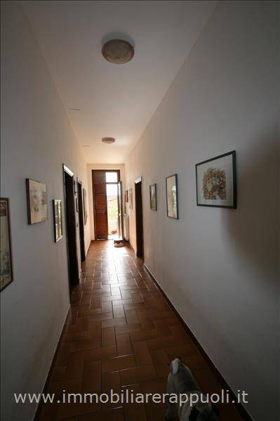 casa indipendente in vendita a Trequanda
