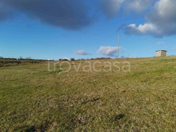terreno agricolo in vendita a Trequanda