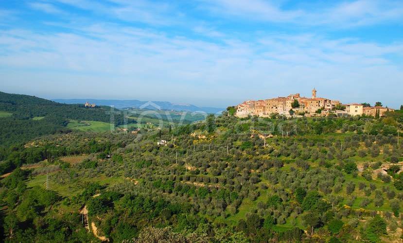 appartamento in vendita a Trequanda in zona Castelmuzio