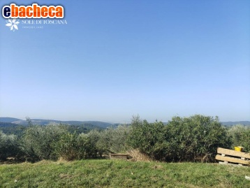 casa indipendente in vendita a Trequanda