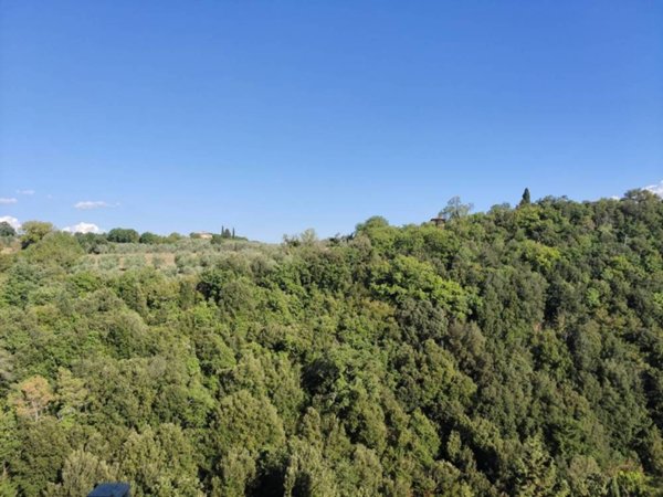 appartamento in vendita a Trequanda in zona Petroio