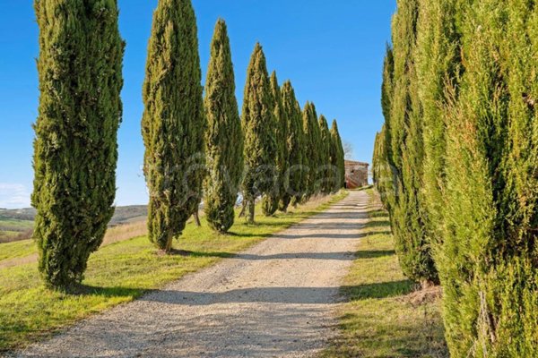 villa in vendita a Trequanda
