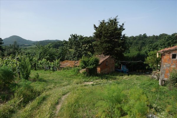 casa indipendente in vendita a Trequanda