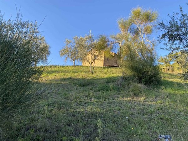 azienda agricola in vendita a Trequanda