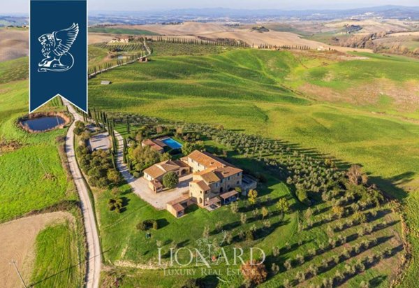 negozio in vendita a Trequanda