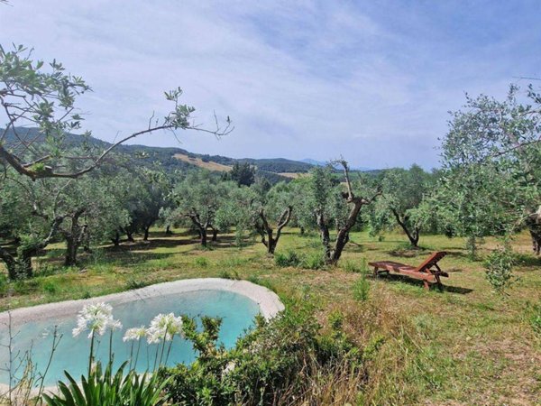 casa indipendente in vendita a Trequanda