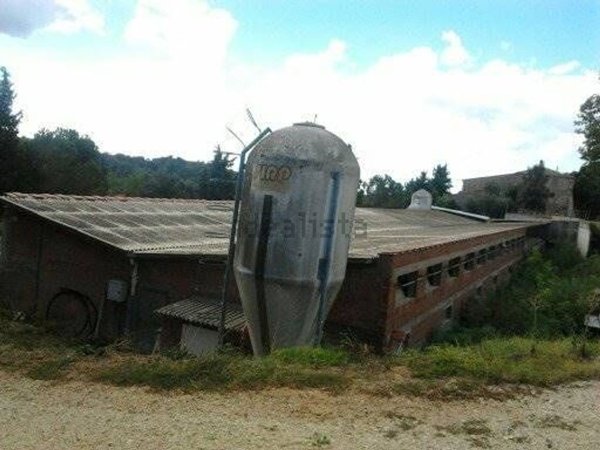 casale in vendita a Trequanda