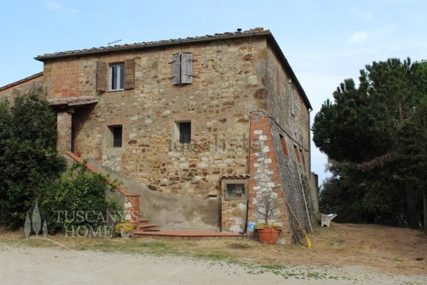 azienda agricola in vendita a Trequanda