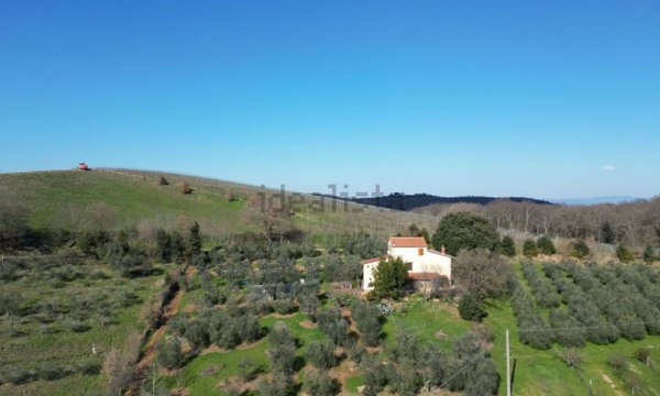 casa indipendente in vendita a Trequanda