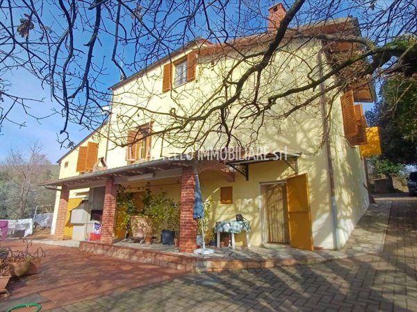 esavano in vendita a Trequanda