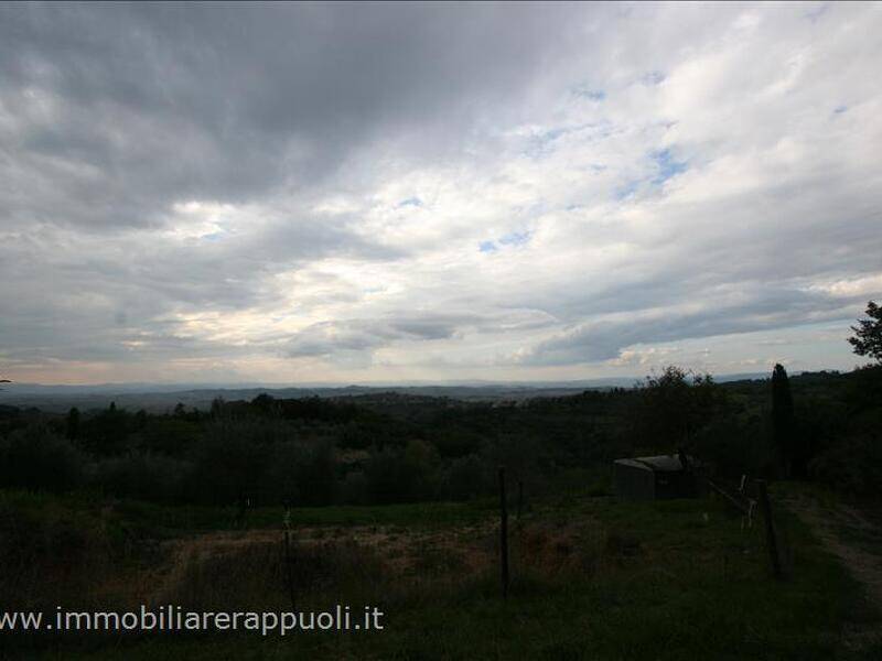 terreno agricolo in vendita a Trequanda