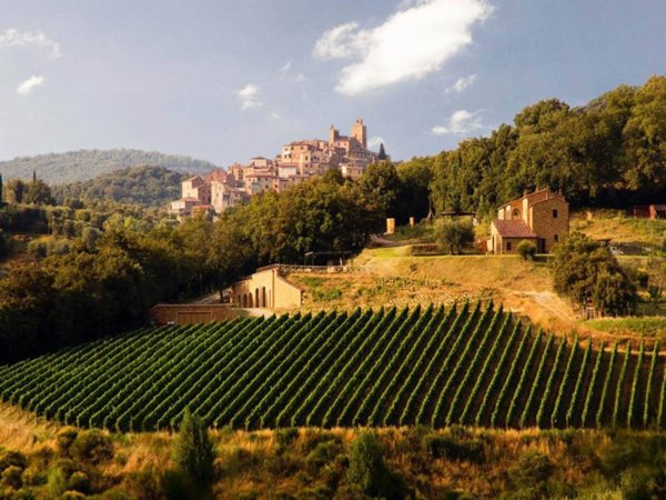 casa indipendente in vendita a Trequanda