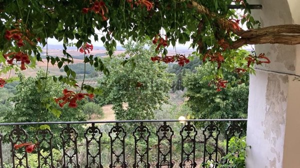 esavano in vendita a Trequanda