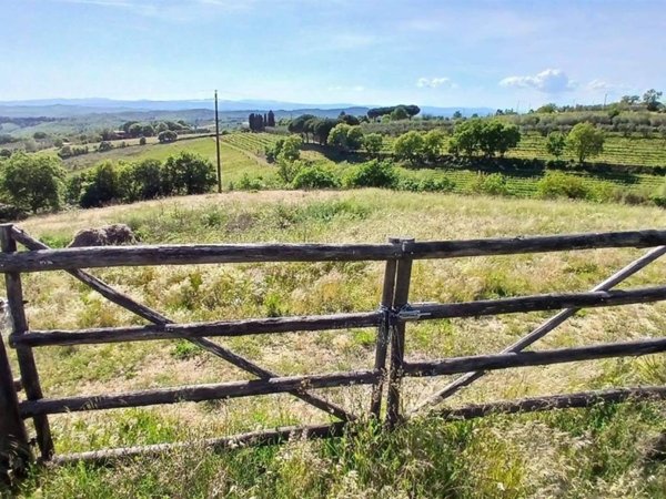 terreno agricolo in vendita a Trequanda