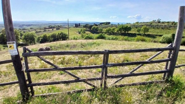 terreno agricolo in vendita a Trequanda