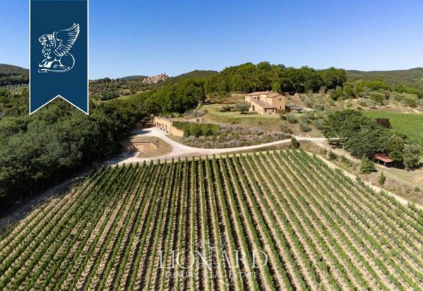 azienda agricola in vendita a Trequanda