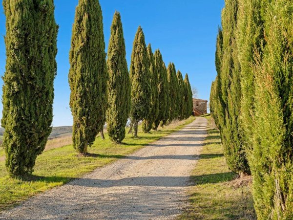 casa indipendente in vendita a Trequanda