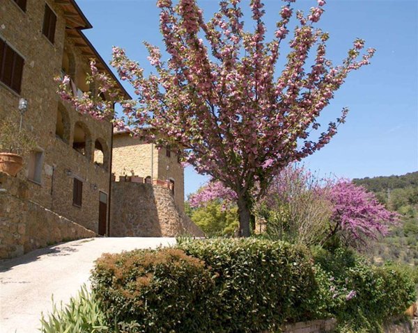 appartamento in vendita a Trequanda