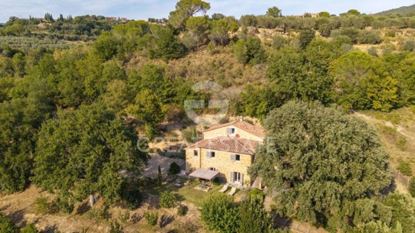 casa indipendente in vendita a Trequanda