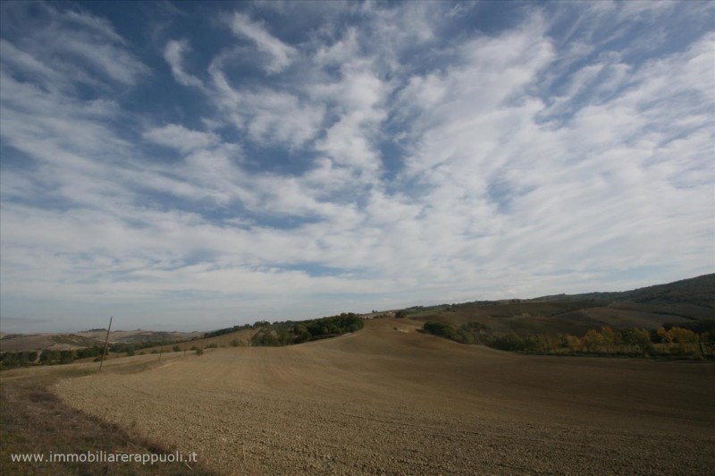 negozio in vendita a Montalcino
