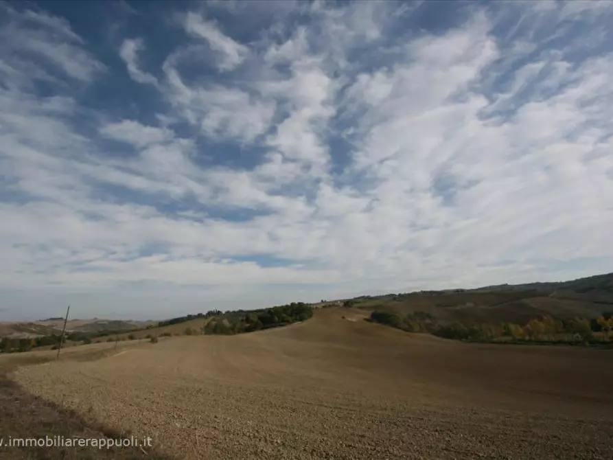 mansarda in vendita a Montalcino