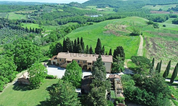 azienda agricola in vendita a Montalcino in zona San Giovanni d'Asso