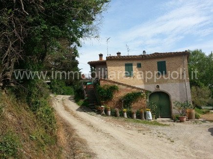 casale in vendita a Montalcino in zona San Giovanni d'Asso