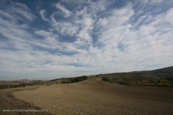 negozio in vendita a Montalcino