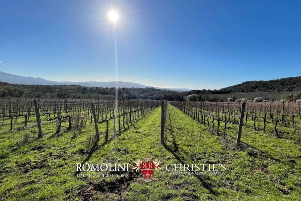 casa indipendente in vendita a Montalcino