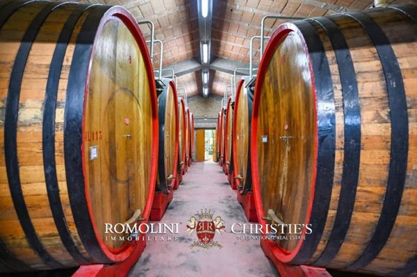 azienda agricola in vendita a Montalcino