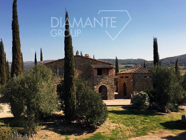 azienda agricola in vendita a Montalcino