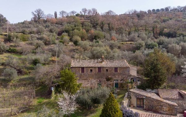casa indipendente in vendita a Montalcino