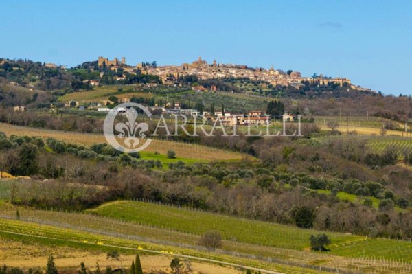 ufficio in vendita a Montalcino